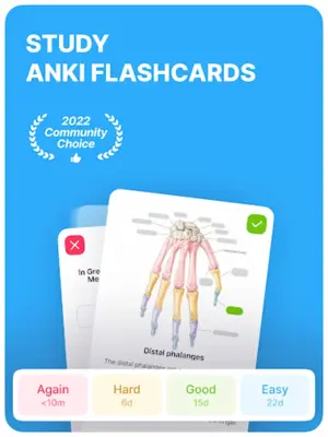 Anki Pro Study Flashcards android App screenshot 6